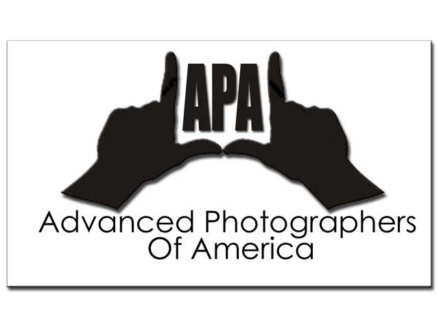 APA-Logo